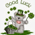 Beautiful Good Luck SMS For Special Friends