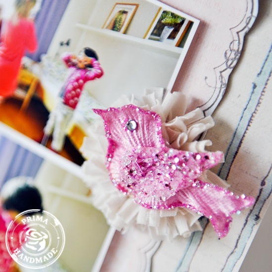 ania_layout2_cu2
