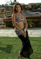 Hot Telugu Actress Kousha, Tollywood actress Kousha, Actress Kousha photo gallery,photo gallery of tollywood hot sex bomb Kousha Photo gallery