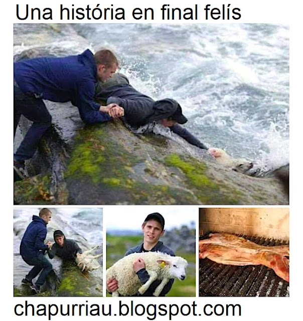 Una história en final felís, cordé, mar, brasa