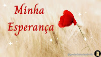 Foto imagem de uma rosa vermelha em meio a grama