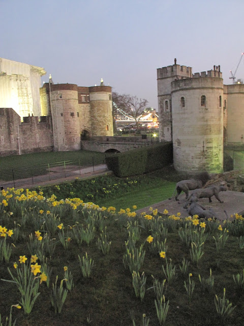 Daffodils can even make the Tower look more cheerful.