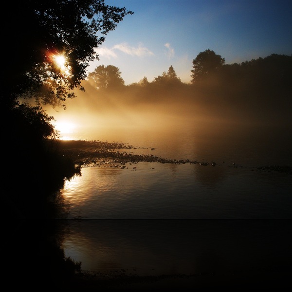 Rockport State Park Washington