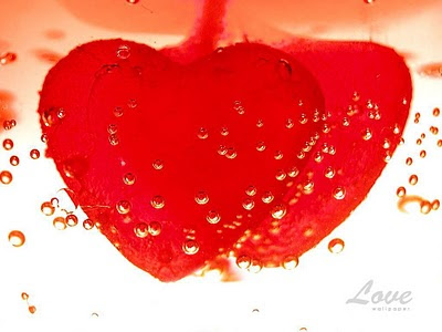 valentine symbol of heart wallpaper