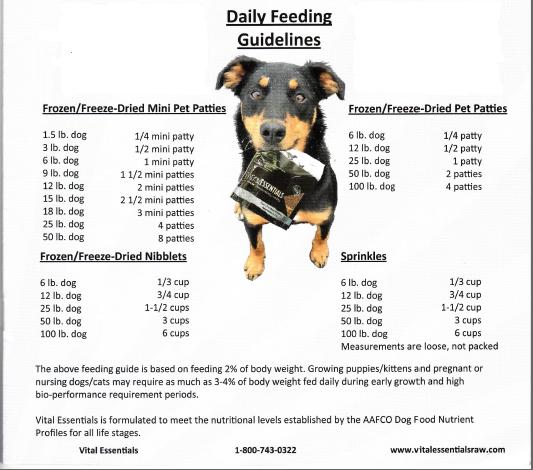 Dog Feeding Chart6