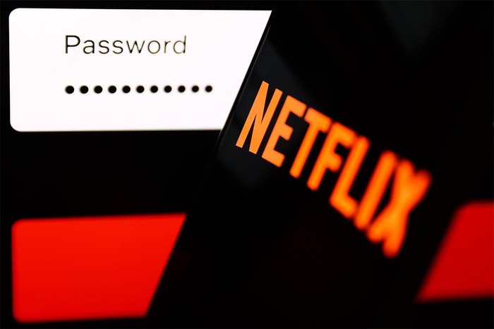Netflix password sharing crack down 2023