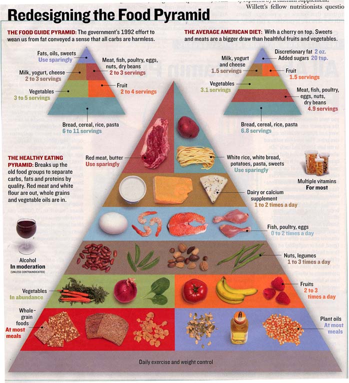 food pyramid for children. Labels: Food pyramid