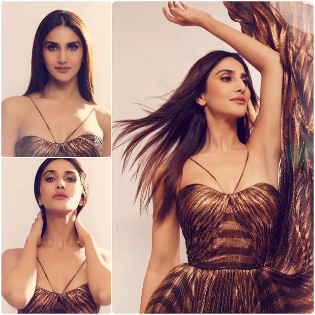 Vaani Kapoor Slick Straight Hair