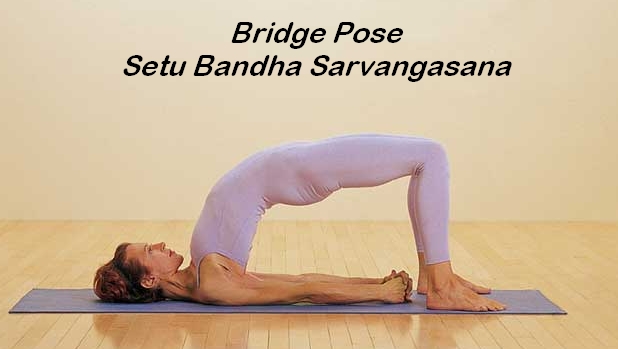 Bridge Pose1