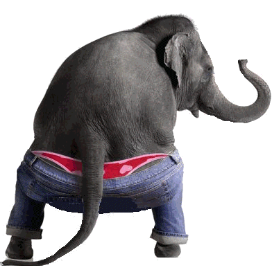 Box of feelings just for you: Elephant wearing jeans and 