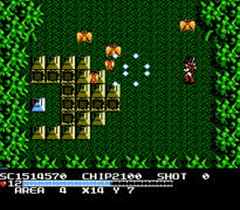  Detalle The Guardian Legend (Español) descarga ROM NES