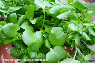 benefits_of_eating_watercress_fruits-vegetables-benefits.blogspot.com(4)
