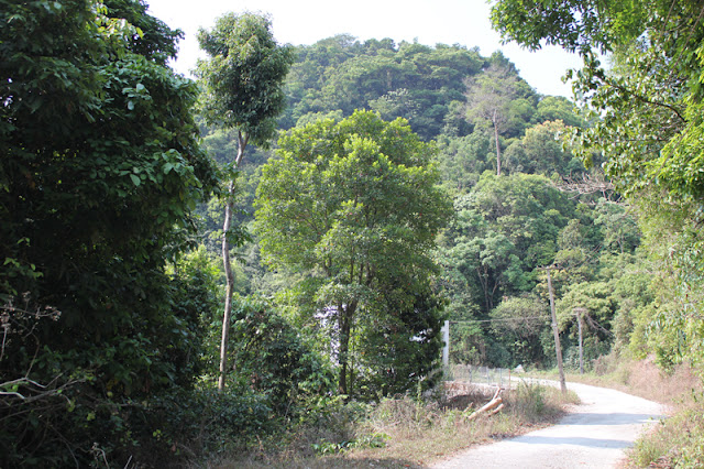 kerala hills kakkayam dam