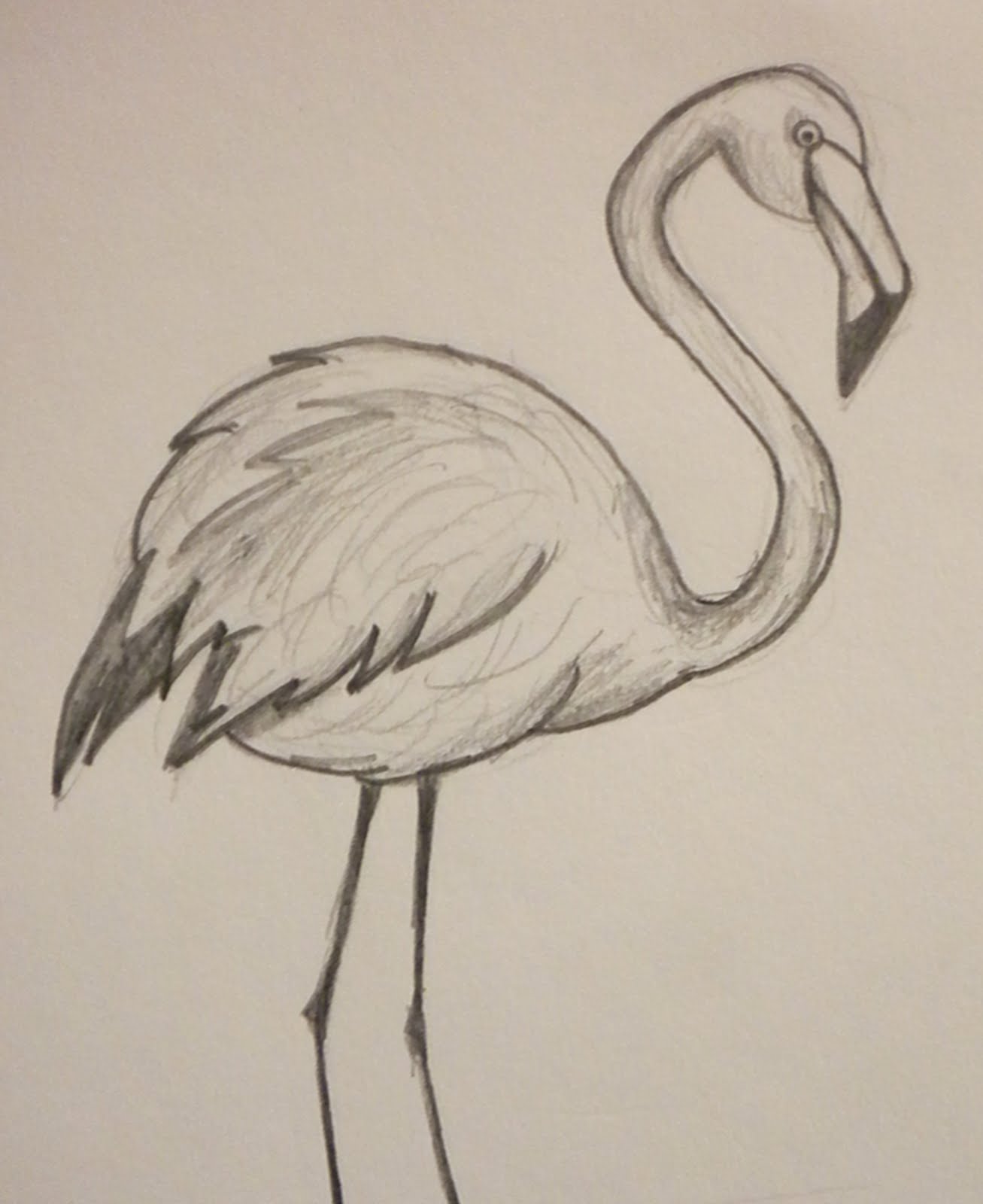 Pointsies: Flamingo Doodle