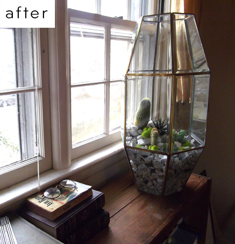Using an old chandelier as a terrarium