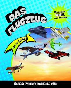 Das Flugzeug