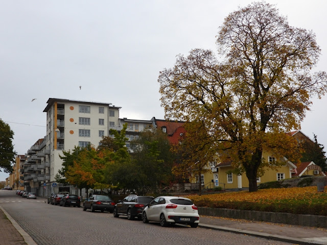 Höstligt parktema 1.