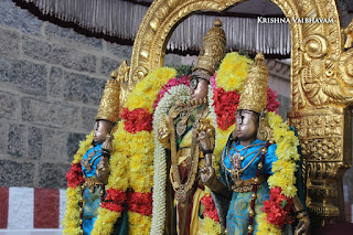 Sri Theliya Singar,Avani, Swathi ,Parthasarathy Perumal Temple,Purappadu,2016, Video, Divya Prabhandam,Sri Parthasarathy Perumal, Triplicane,Thiruvallikeni,Utsavam,