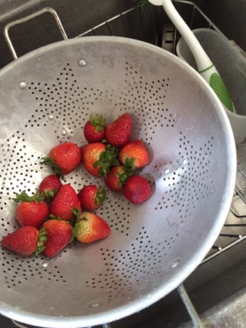 Easy 4th of July dish | easy fruit plate | easy fruit display | independence day fruit | simple 4th of july fruit plate