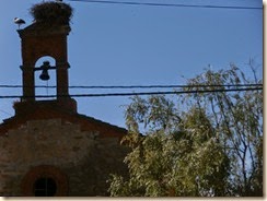 P6110027