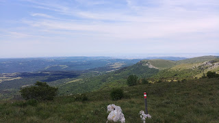planinarenje, planinarska staza, zeleni obronci, pogled sa vrha Žbevnice