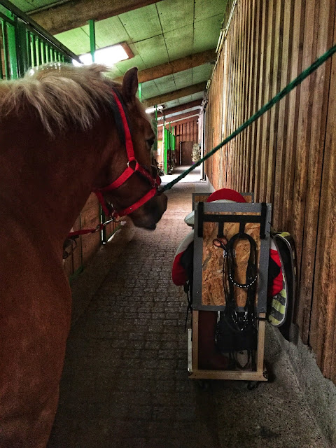 What's In My Tack Closet?