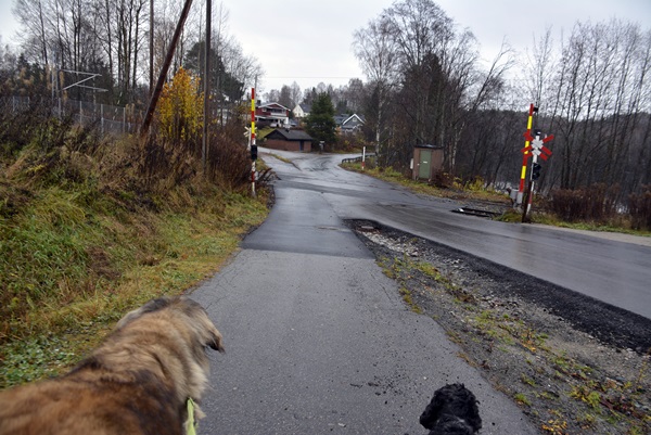 elvelangs begnavassdraget ådalselva
