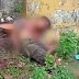 Corpo ensanguentado é encontrado nas proximidades de aeroporto em Manaus; veja vídeo