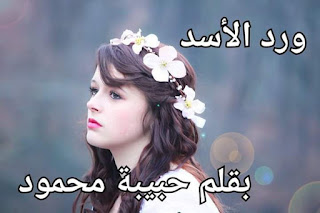 رواية ورد الاسد الفصل السابع 7 بقلم حبيبه محمود