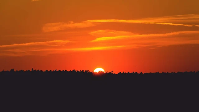 Papel de Parede Sol, Pôr Do Sol, Silhueta, Floresta