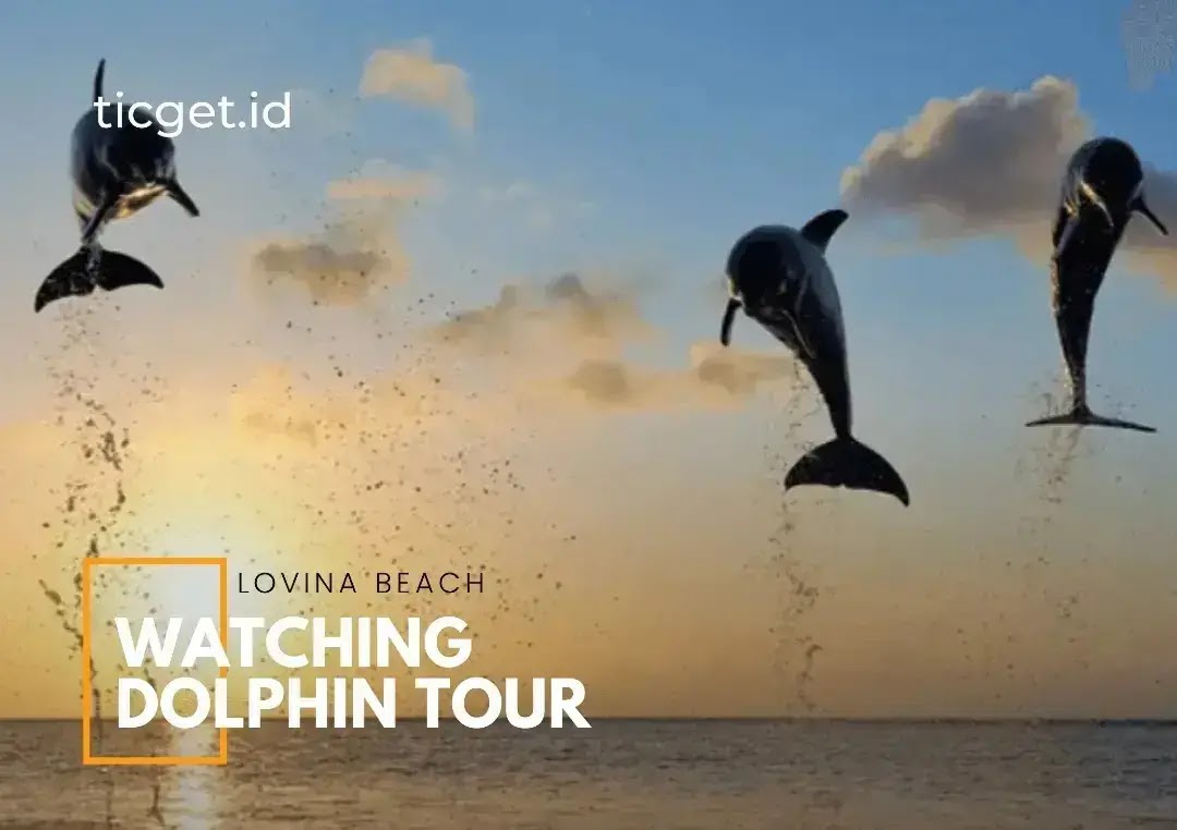 bali-private-tour-sunrise-dolphin-lovina