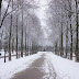 Rotterdamse warmte naar Den Haag