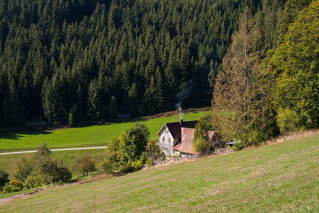 black forest Germany