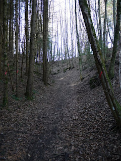 Aus dem Gleißental hochführende ehemalige Römerstraße