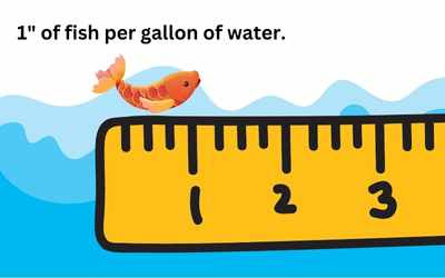 graphic of 1" of fish to gallon of water