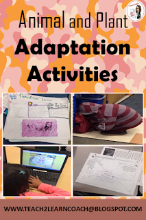 Find out about different engaging activities and assignments used to teach animal and plant adaptations!