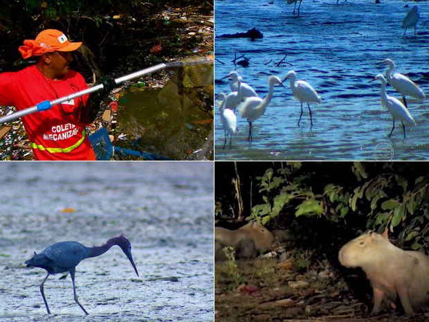 No Dia do Rio, conheça o projeto que busca revitalizar o Capibaribe