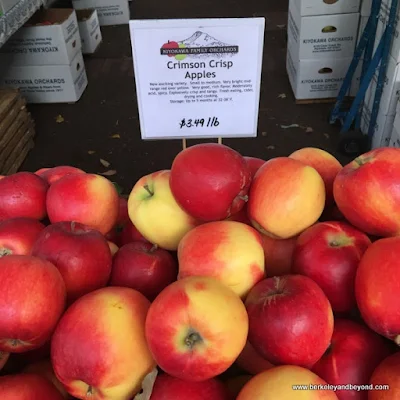 Crimson Crisp apples at Portland Farmers Market in Portland, Oregon