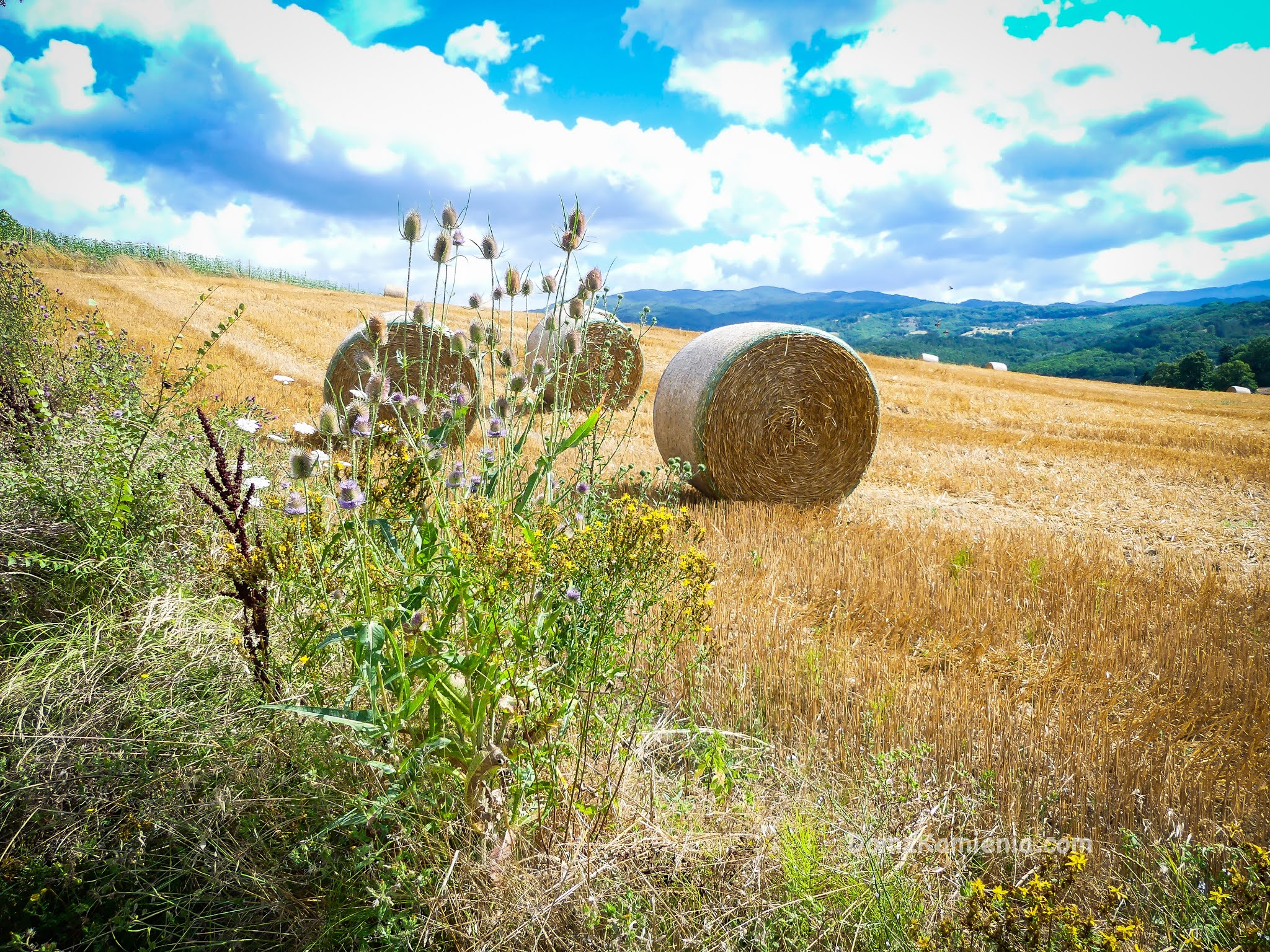 Szlak malarzy Vicchio trekking Dom z Kamienia