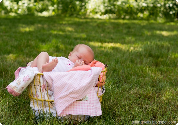 liby bell newborn-82