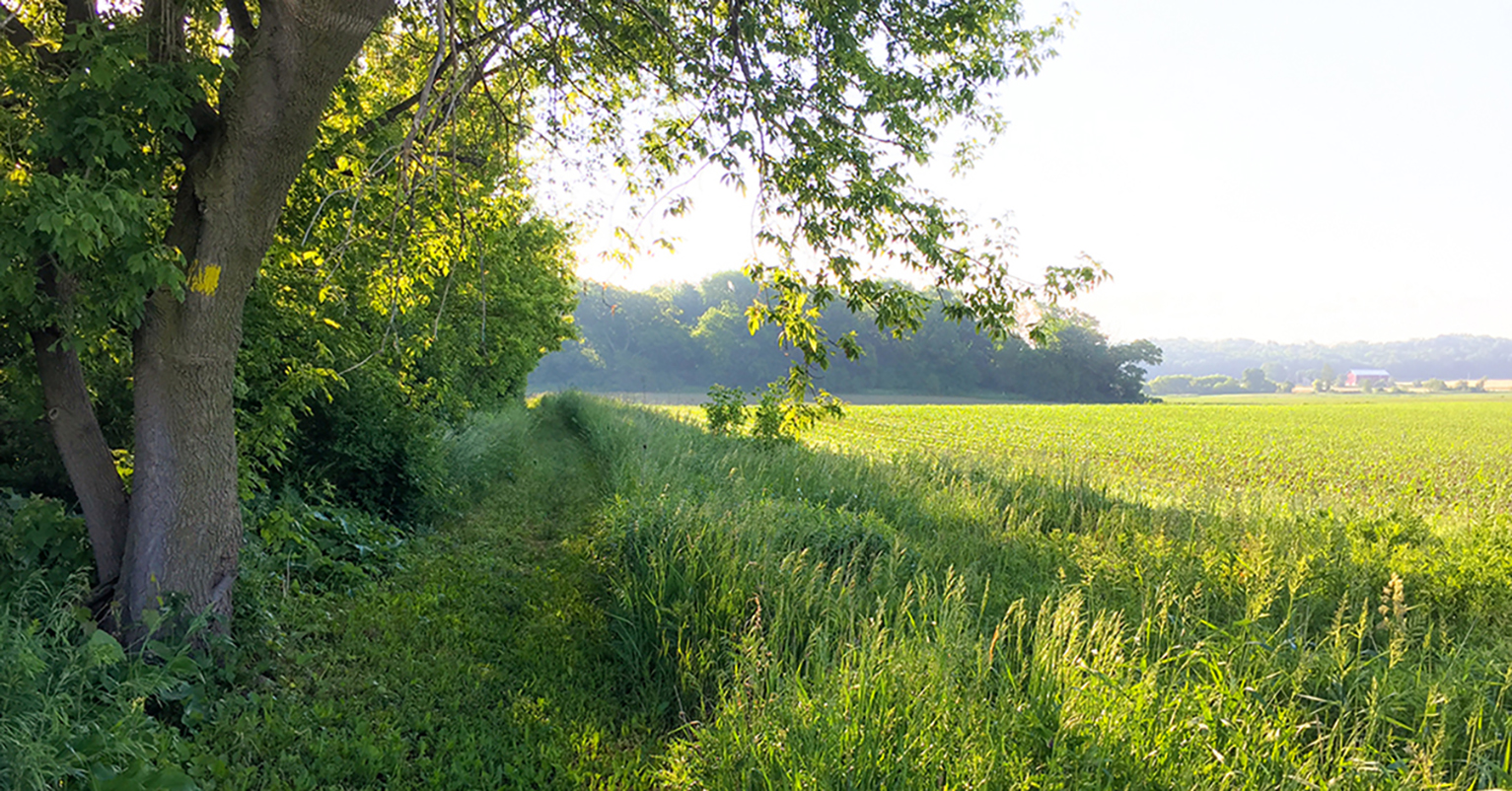 Ice Age Trail Montrose Segment