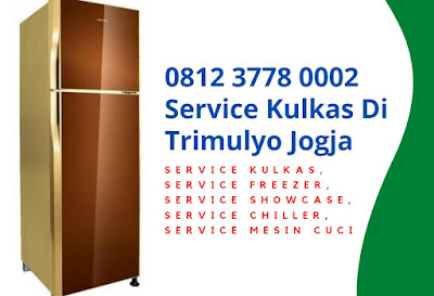 Service Kulkas Di Trimulyo