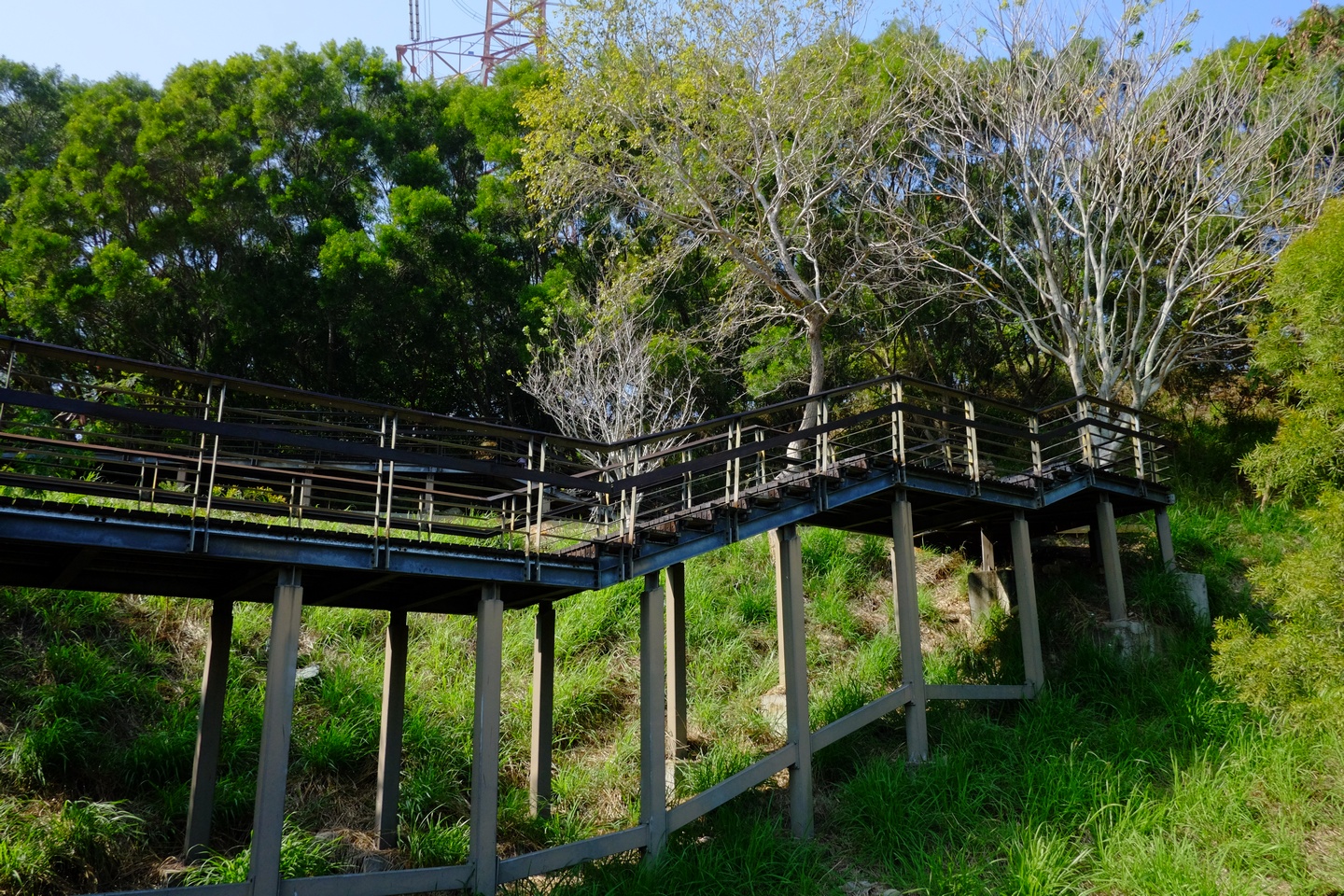 中部景點 東大公園