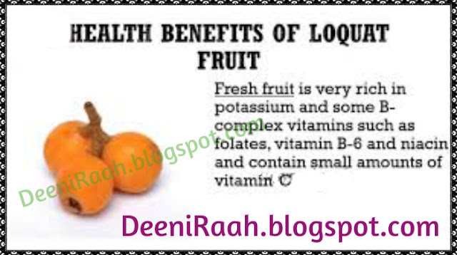 Health Benefits of Loquat Fruit