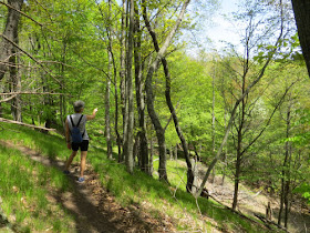 hiker on hilly trail