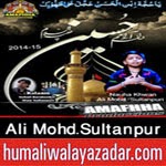 http://audionohay.blogspot.com/2014/10/ali-mohdsultanpur-nohay-2015.html