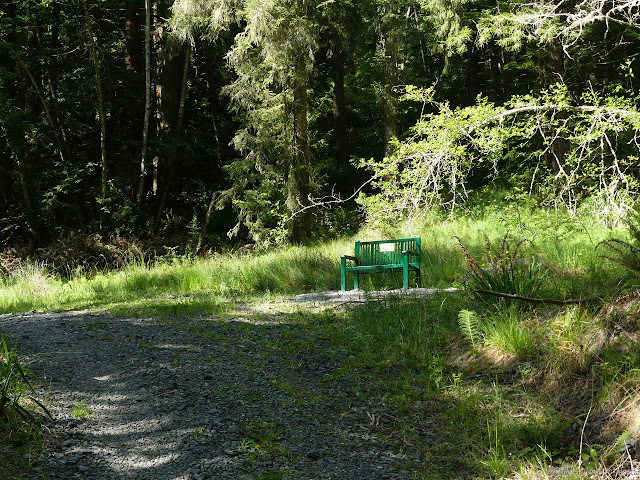 green metal bench beside the road of trail