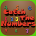 Catch The Numbers  | IOS App