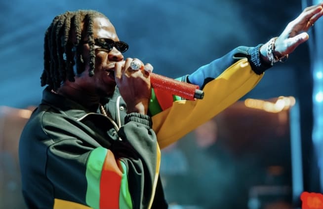 At the 2024 Cali Vibes Festival, Stonebwoy provides authentic dancehall vibes.
