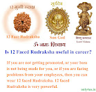 12 faced rudraksha information, rudraksha, only4us